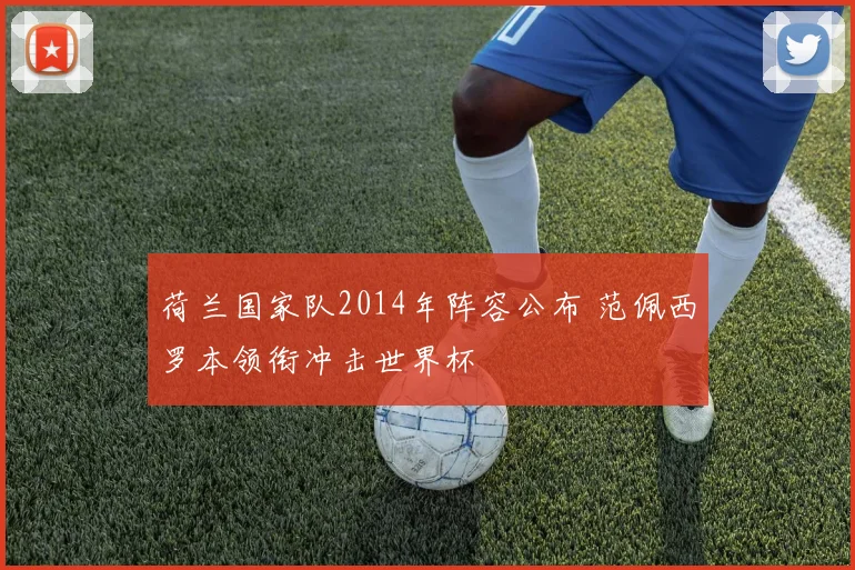 荷兰国家队2014年阵容公布 范佩西罗本领衔冲击世界杯
