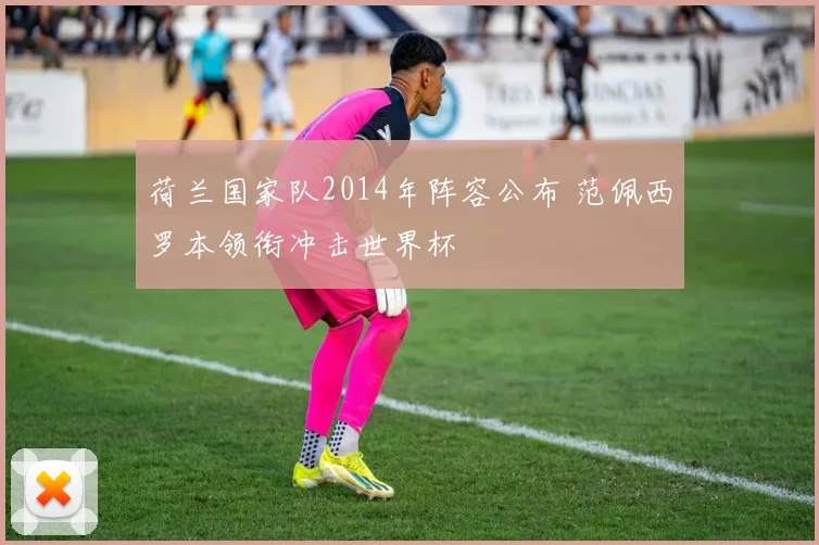 荷兰国家队2014年阵容公布 范佩西罗本领衔冲击世界杯