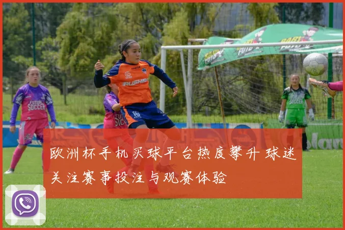 欧洲杯手机买球平台热度攀升 球迷关注赛事投注与观赛体验