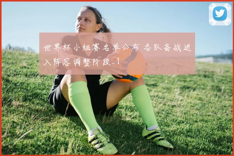 世界杯小组赛名单公布 各队备战进入阵容调整阶段_1