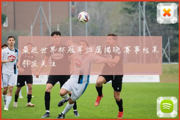 最近世界杯冠军归属揭晓 赛事结果引发关注