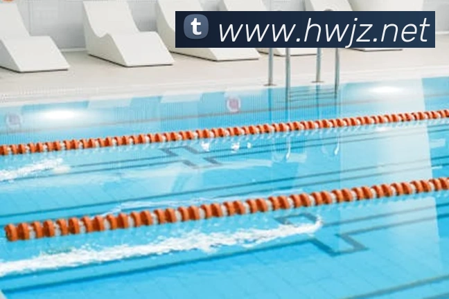 必一运动体育官网发展历程